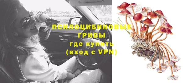 не бодяженный Алзамай