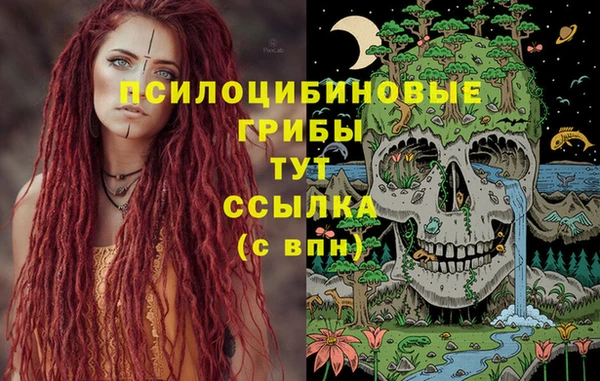 не бодяженный Алзамай