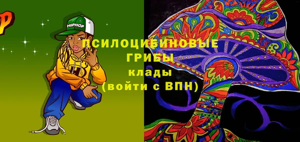 гашик Алексеевка